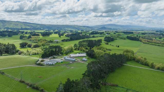 302 Ballance Road Pahiatua_3