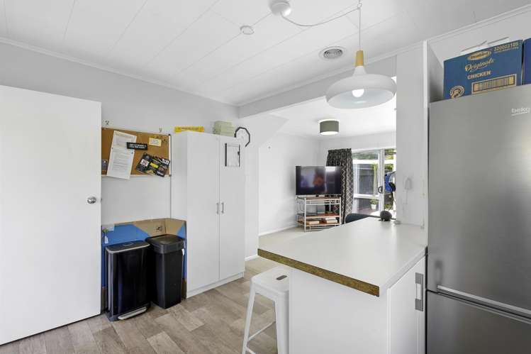 1/4 Beryl Grove Birchville_6