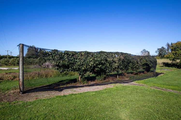 402 Dixons Road Loburn_25