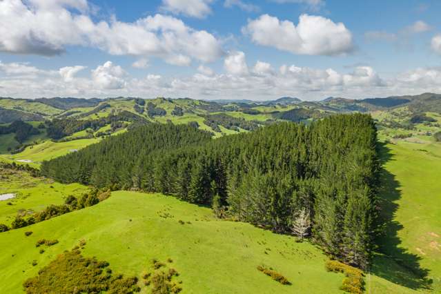 Inkster Road Maromaku_2