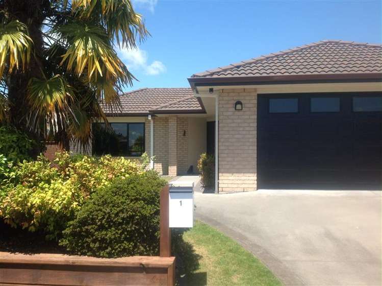 1 Lancewood Court Matamata_0