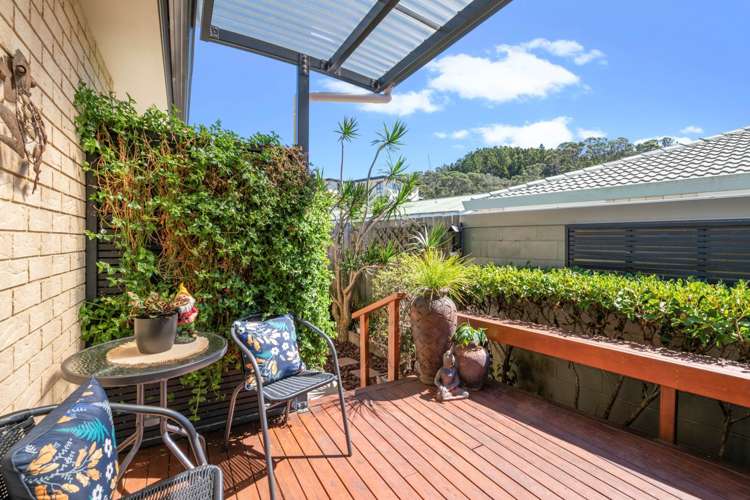 490c Hibiscus Coast Highway Orewa_22