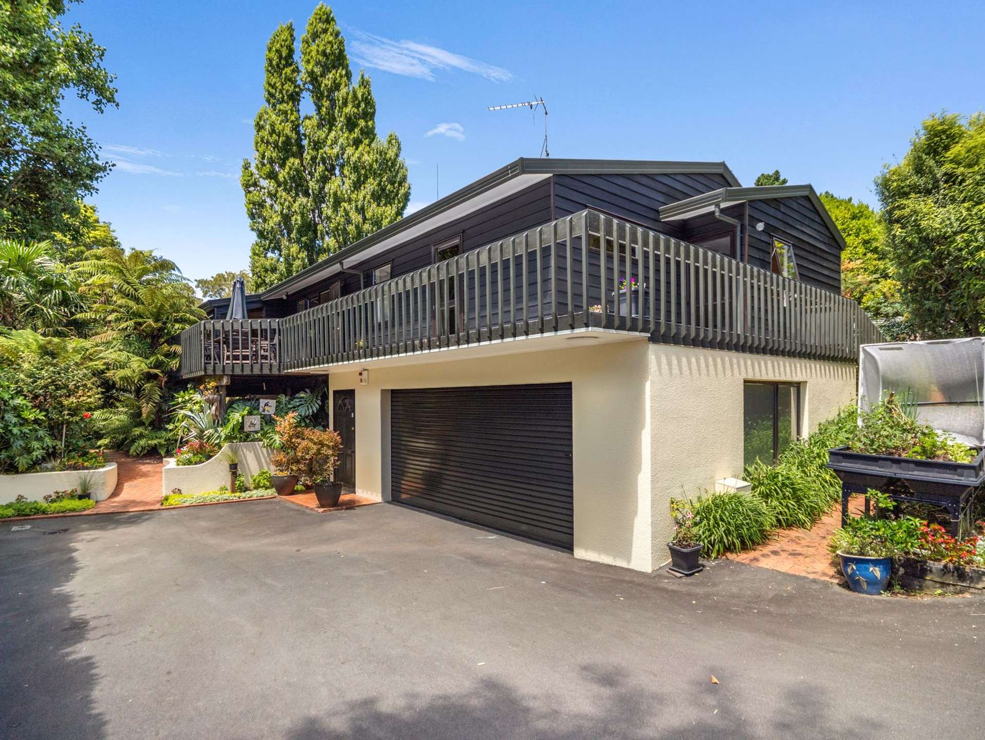 23b Horne Street Hamilton City Central_0