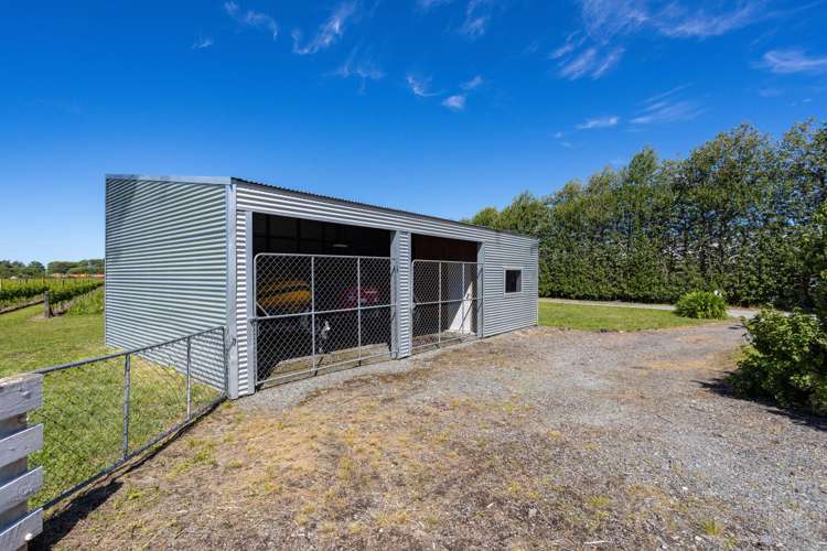 2124 State Highway 1 Spring Creek_37