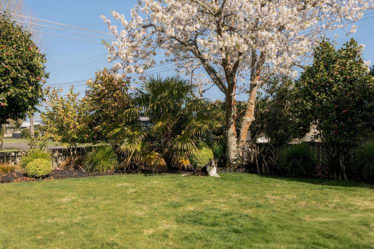 25 Te Hatepe Avenue Taupo_22