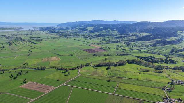 134 and 142 Station Road Puriri_1