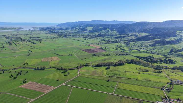 134 and 142 Station Road Puriri_1