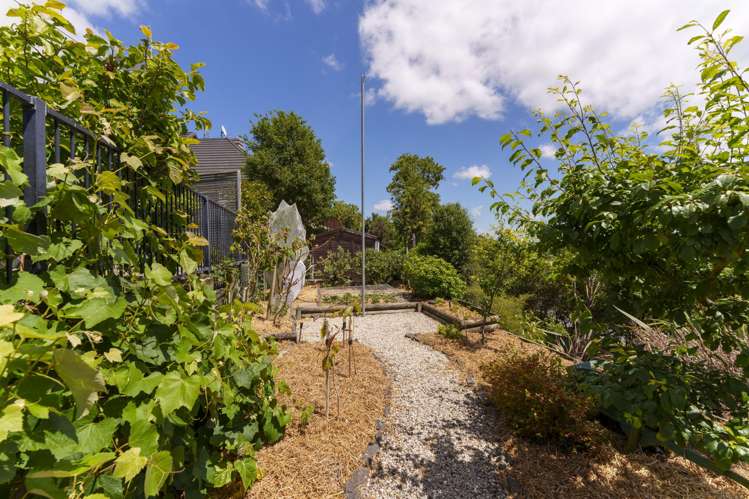 323 Kennedys Bush Road Kennedys Bush_28