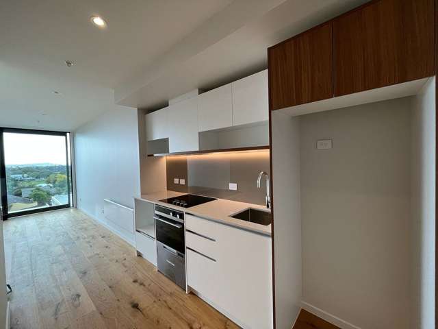 Contemporary Urban Living in Onehunga
