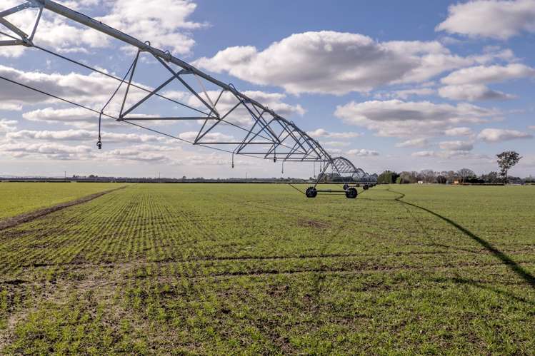 Cryers Road Southbridge_7