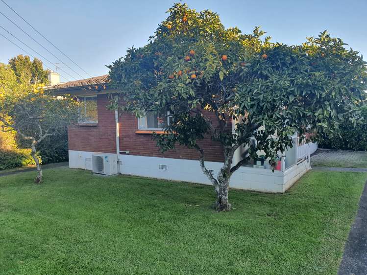 1/58 Rawhiti Road One Tree Hill_0