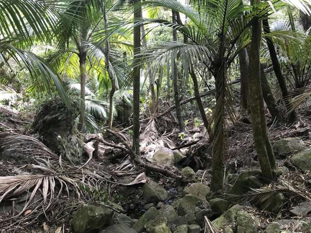 Lot 73/NW71 S71 Aotea Parish Station Rock Road Great Barrier Island_3