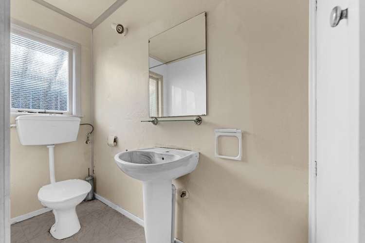 1/10 Domain Road Panmure_10