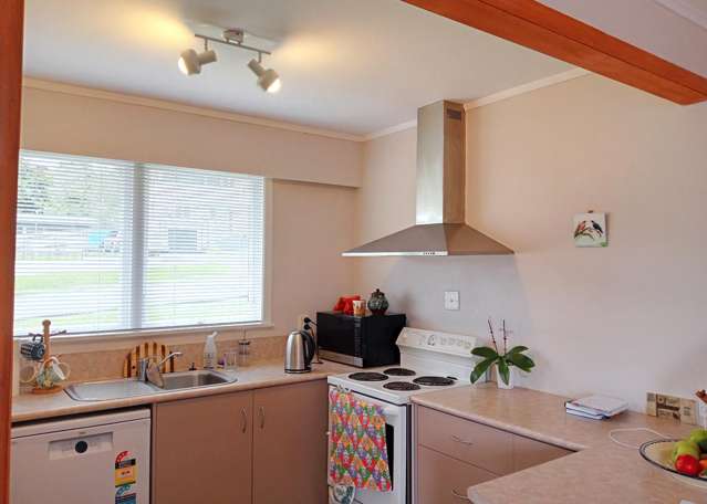 43 Wood Street Paeroa_1