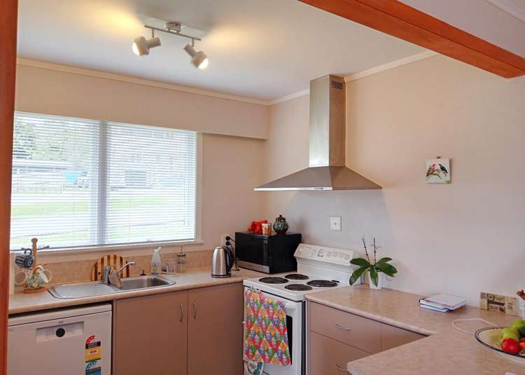 43 Wood Street Paeroa_1