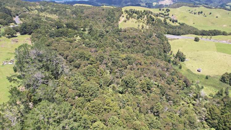 3750 State Highway 10 Kaeo_7