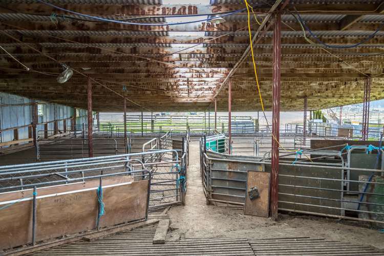 1091 Kopikopiko Road Eketahuna_5