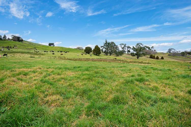 Lot 1&2/79 Tavinor Road Otaika_16