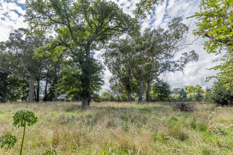 14 Howan Street Foxton_31