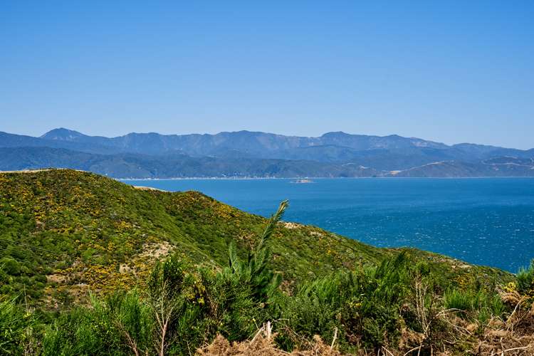 17 Grumman Lane Newlands_13