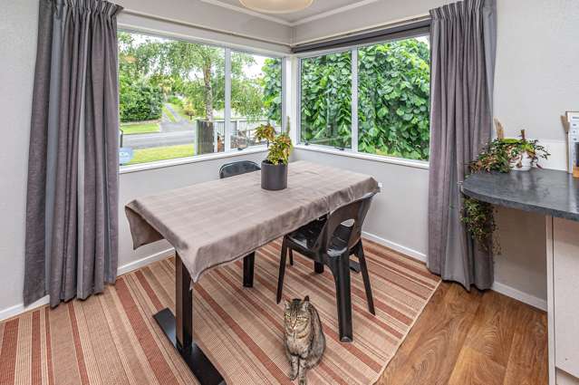 153 Mount View Road Bastia Hill_3