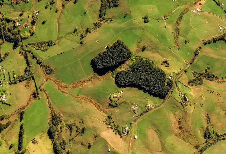 136 Valley Road Waitoki_10