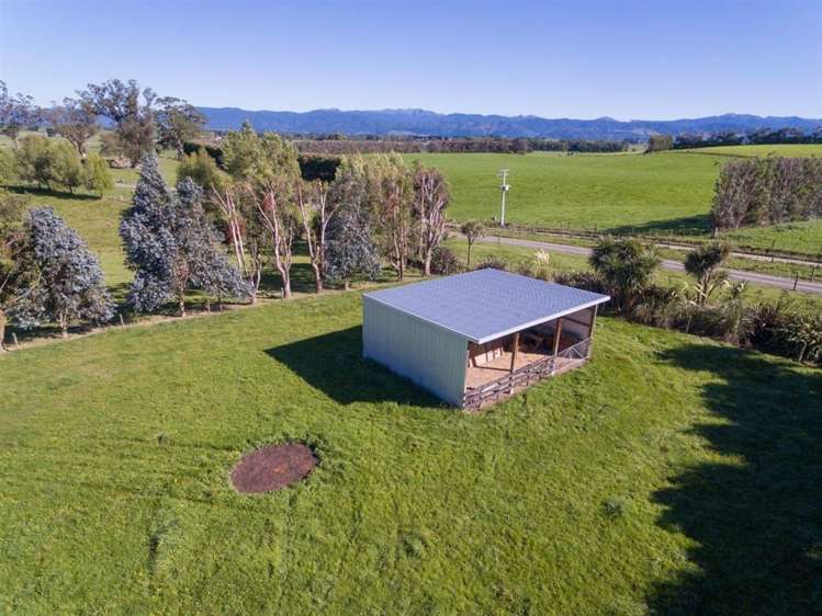 172 Woodlands Road Carterton_35