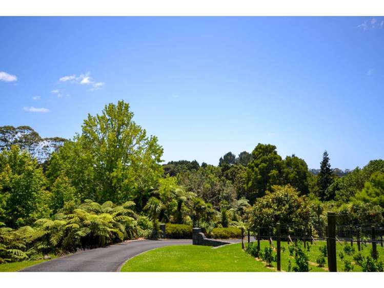 Blue Gum Lane Kerikeri_7