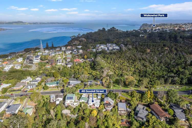 46 Goodall Street Hillsborough_21