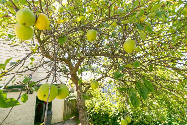 89 Britomart Street Berhampore_8