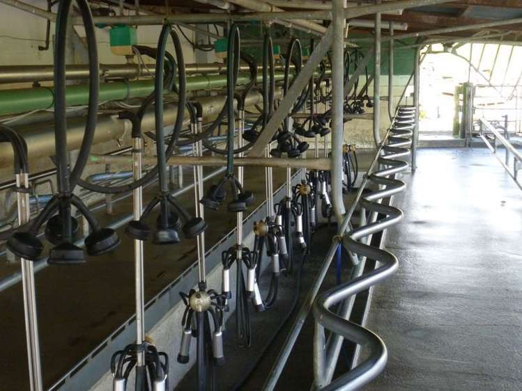 646 Henry Watson Road Richmond Downs_11