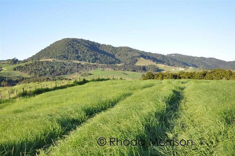 125 Jumna Road Maungaturoto_20