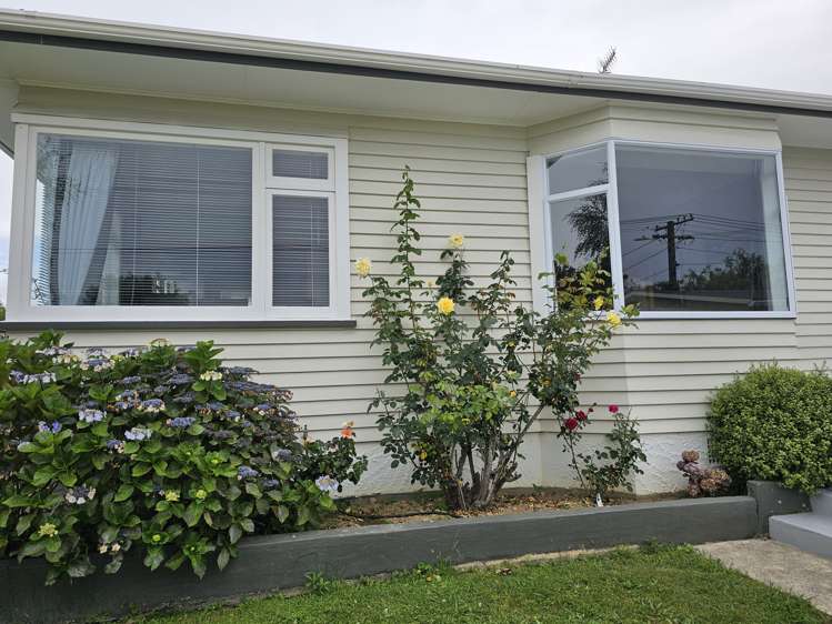 196 Bath Street Levin_21