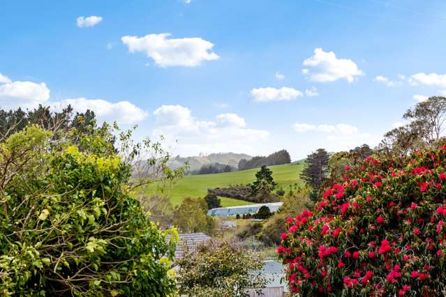 24 Dominion Road Tuakau_1