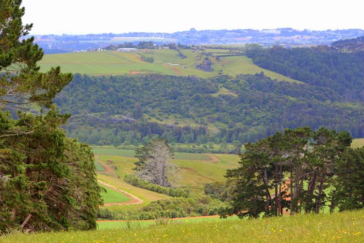 443b Murray Road Pukekawa_1