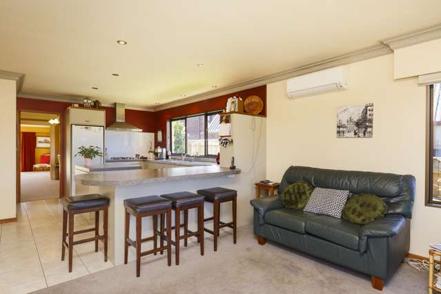 55 Dittmer Drive Awapuni_3