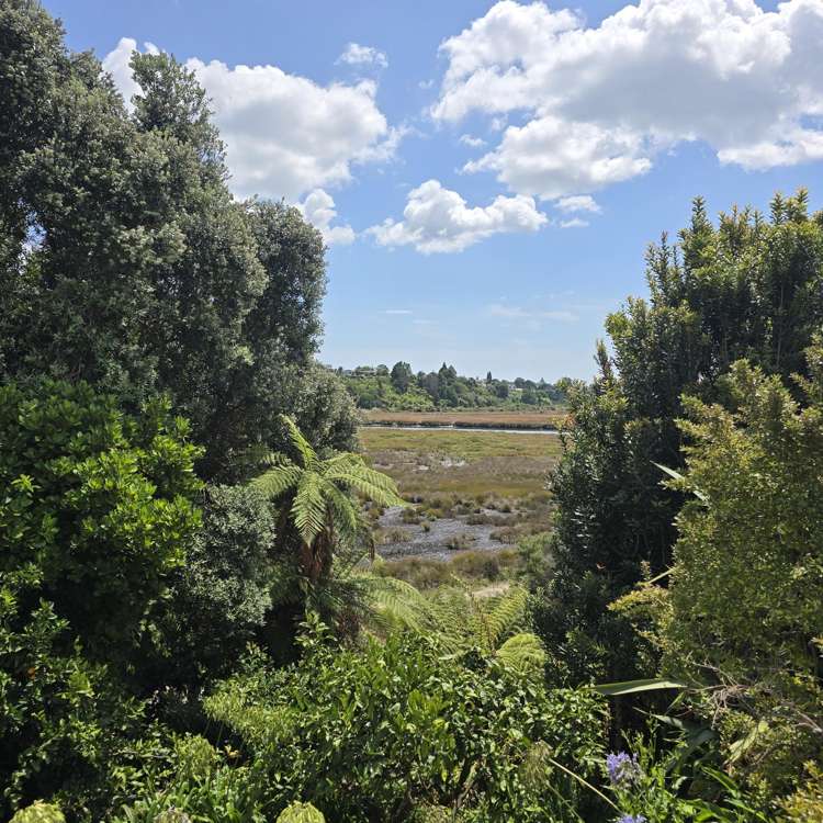 186 Windermere Drive Poike_9