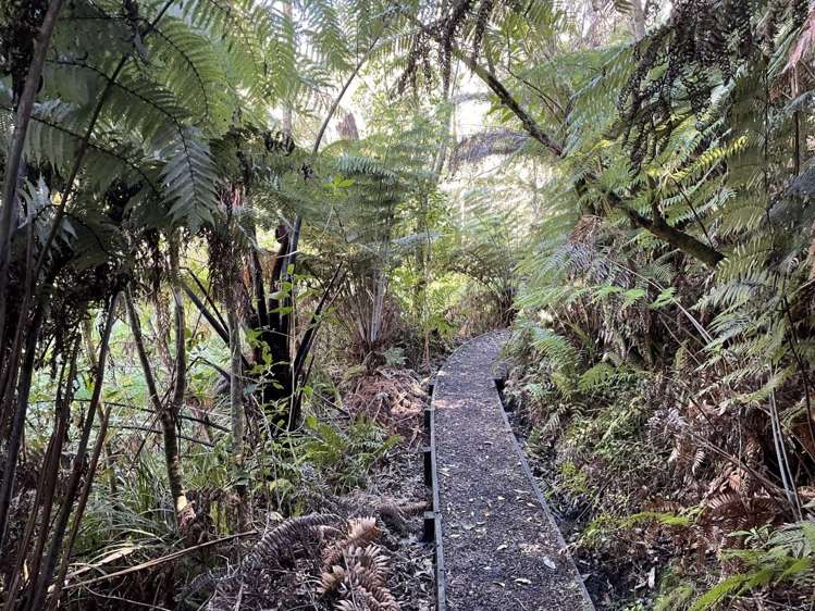 108c Ferguson Road Whatawhata_34