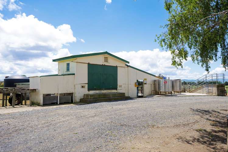 104 Pioneer Road Tahuna_13