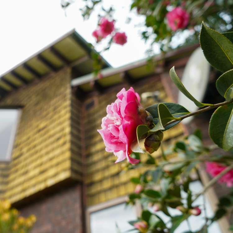 31 Marlowe Drive Leamington_20