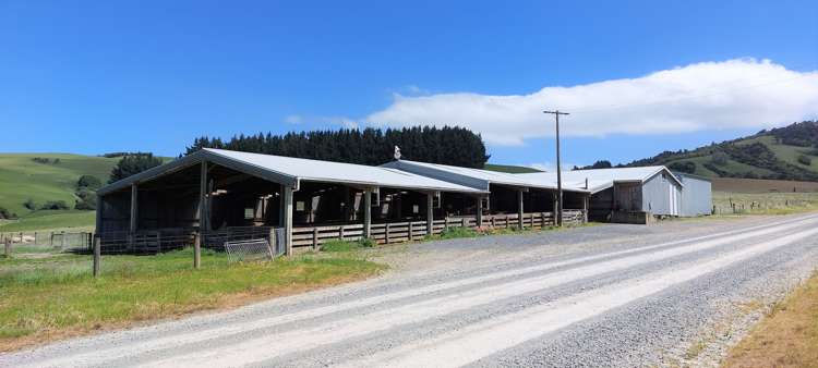 1777 Papatowai Highway Papatowai/Pounawea_6