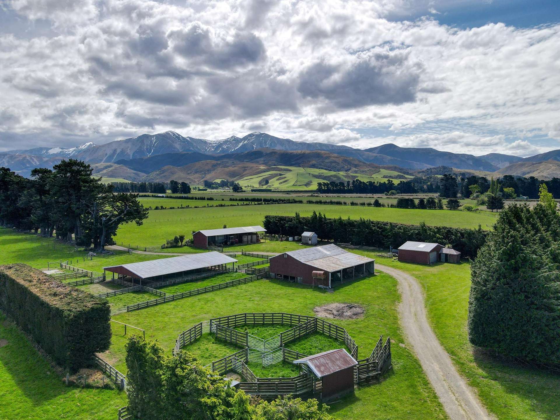 Kowai Road Springfield_0