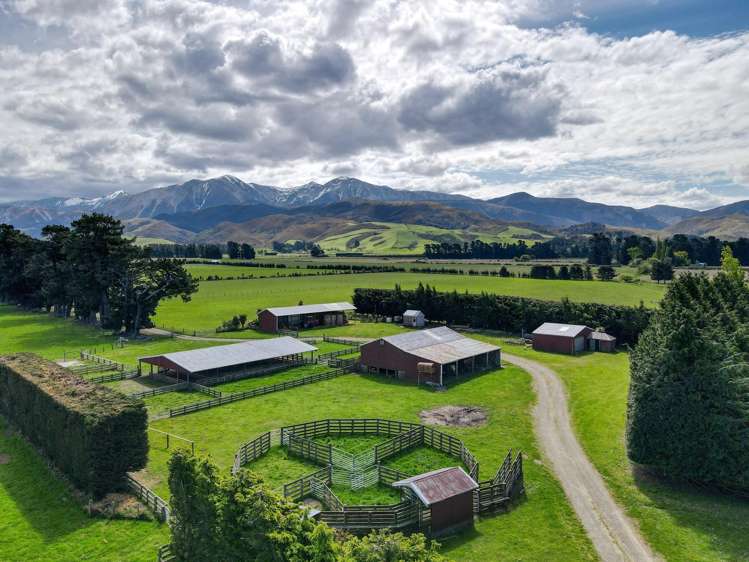 Kowai Road Springfield_0