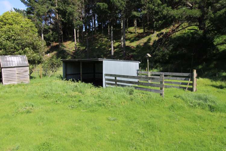 124 Union Street Foxton_16