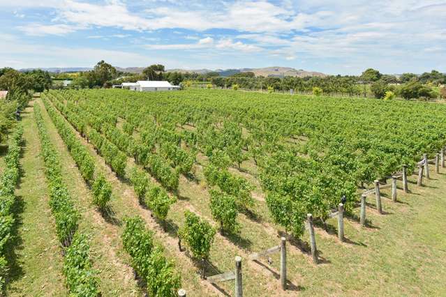 33 Cambridge Road Martinborough_1