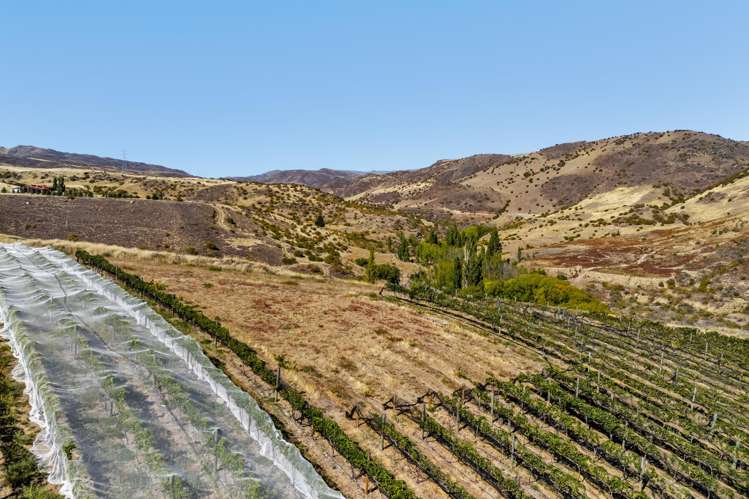 98c Paterson Road Nevis_4