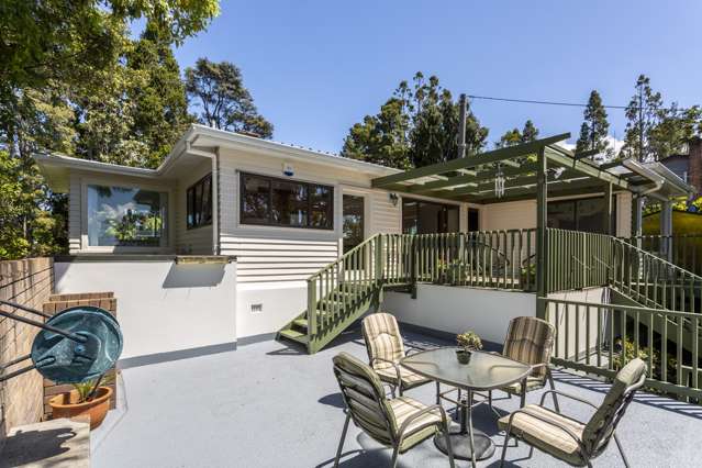 55 Tanekaha Road Titirangi_1