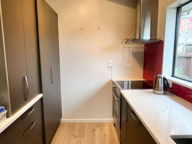 35a Harker Street Spreydon_3