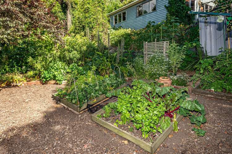 21 Putiki Drive Durie Hill_37