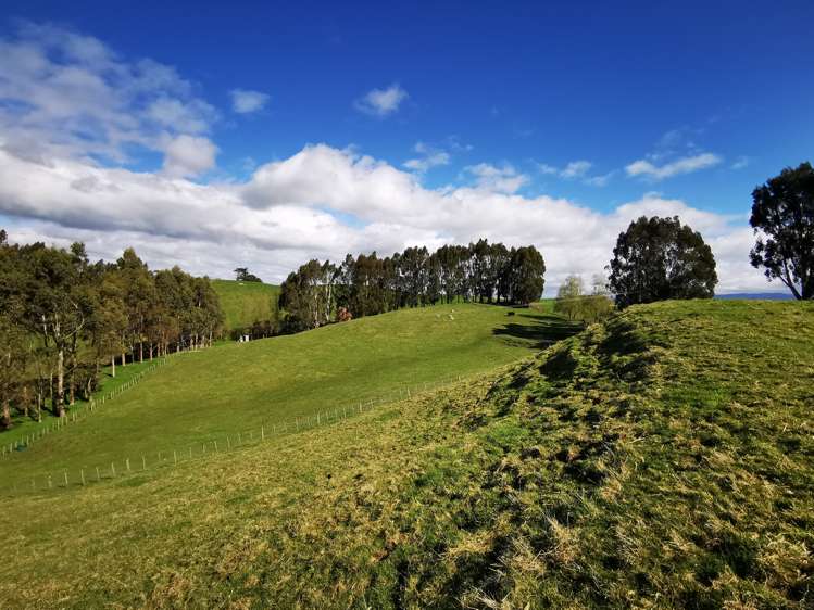 48 Norsewood Ormondville Road Norsewood_6